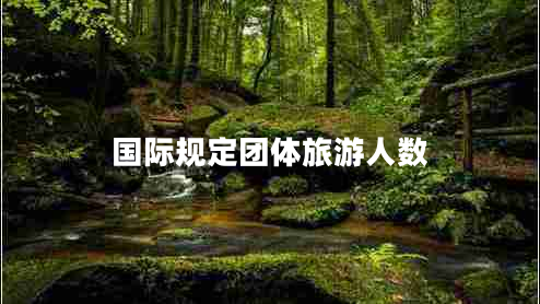 國際規定團體旅游人數