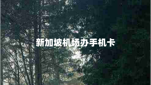 新加坡機場(chǎng)辦手機卡