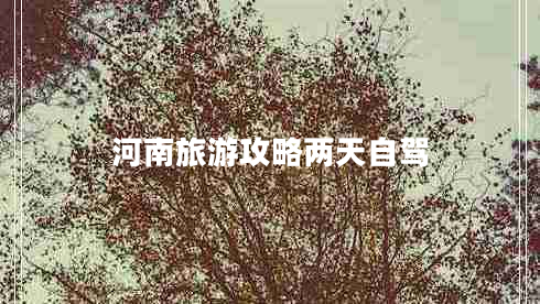河南旅游攻略?xún)商熳择{