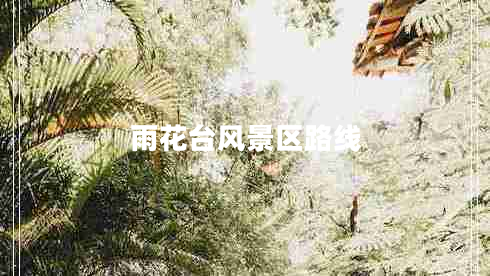 雨花臺風(fēng)景區路線(xiàn)