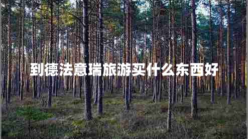 到德法意瑞旅游買(mǎi)什么東西好