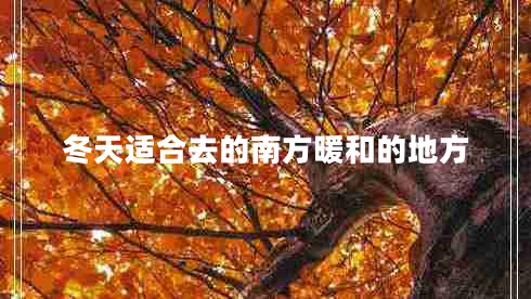 冬天適合去的南方暖和的地方