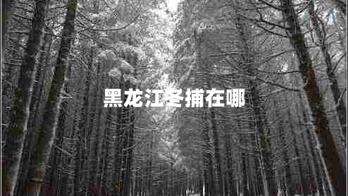 黑龍江冬捕在哪