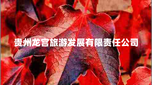 貴州龍宮旅游發(fā)展有限責任公司
