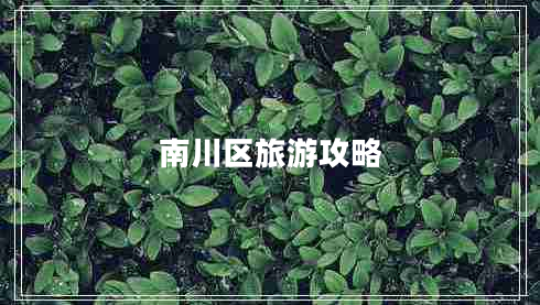 南川區旅游攻略