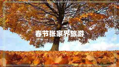 春節張家界旅游