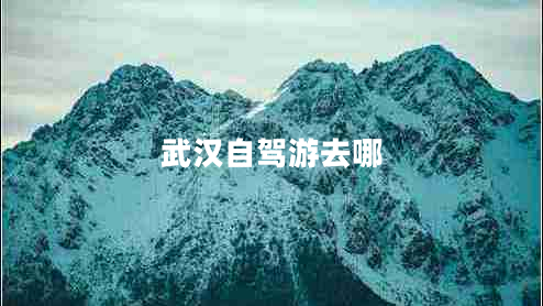 武漢自駕游去哪