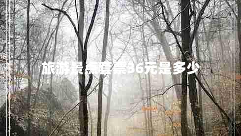 旅游景點(diǎn)套票36元是多少