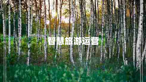 智慧旅游運營(yíng)