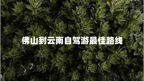 佛山到云南自駕游最佳路線(xiàn)