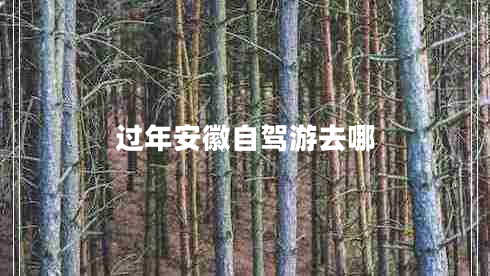 過(guò)年安徽自駕游去哪