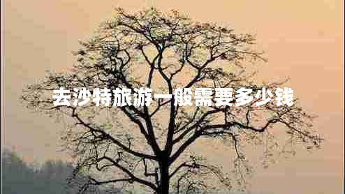 去沙特旅游一般需要多少錢(qián)