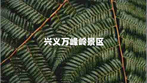 興義萬(wàn)峰嶺景區