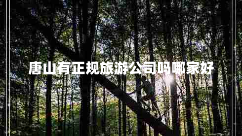 唐山有正規旅游公司嗎哪家好