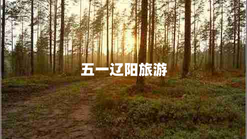五一遼陽(yáng)旅游