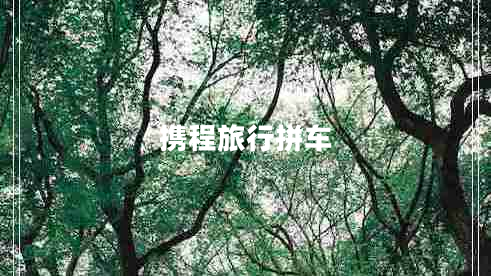 攜程旅行拼車(chē)