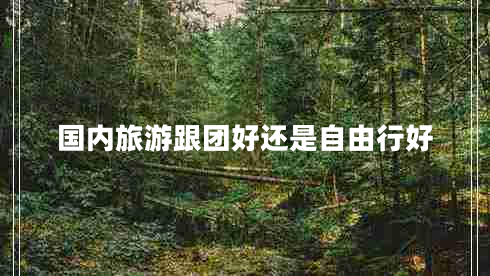 國內旅游跟團好還是自由行好
