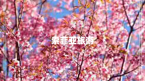 索菲亞旅游
