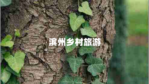 濱州鄉村旅游