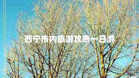 西寧市內旅游攻略一日游
