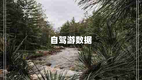自駕游數據