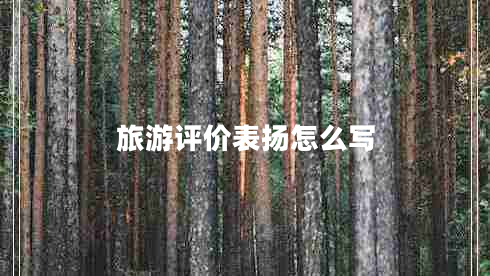 旅游評價表揚怎么寫