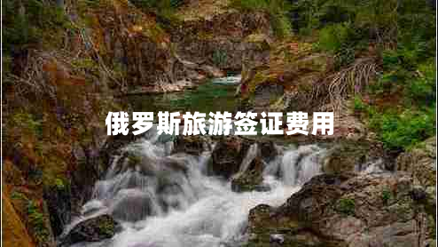 俄羅斯旅游簽證費用