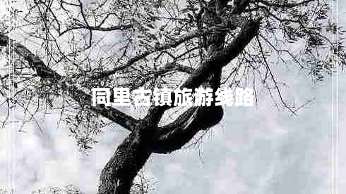 同里古鎮旅游線(xiàn)路