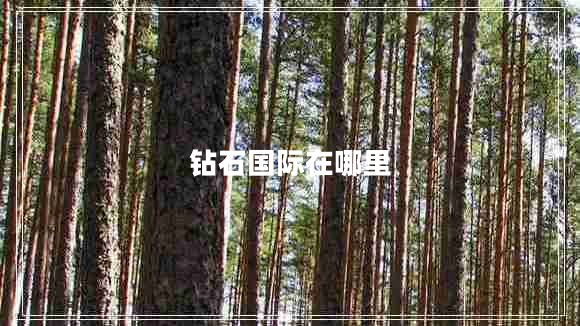 鉆石國際在哪里