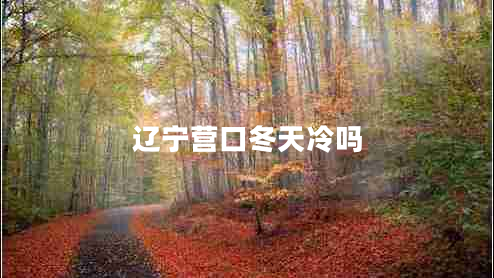 遼寧營(yíng)口冬天冷嗎