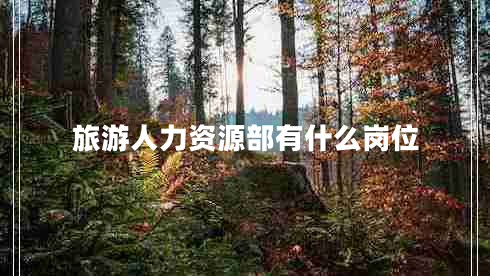 旅游人力資源部有什么崗位