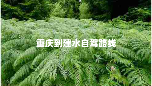 重慶到建水自駕路線(xiàn)