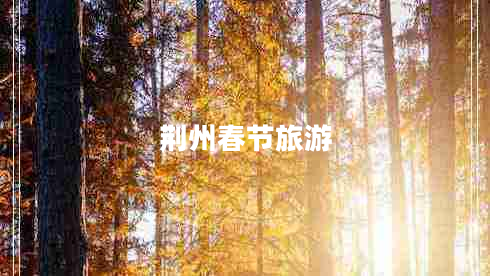 荊州春節旅游