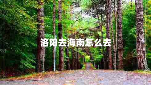 洛陽(yáng)去海南怎么去