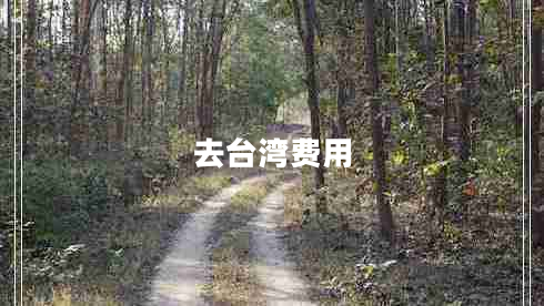 去臺灣費(fèi)用