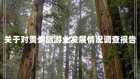 關(guān)于對貴州旅游業(yè)發(fā)展情況調查報告