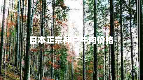 日本正宗神戶(hù)牛肉價(jià)格