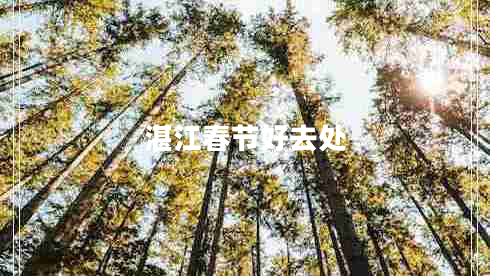 湛江春節好去處
