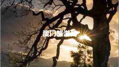 澳門(mén)旅游局