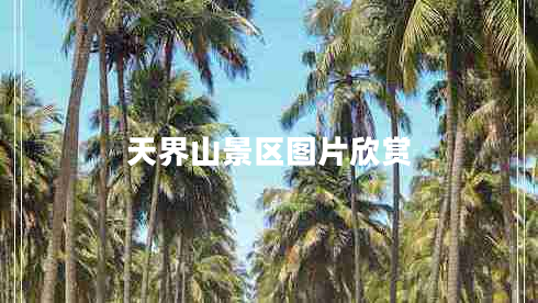 天界山景區圖片欣賞