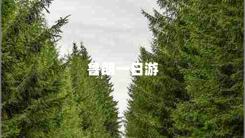 魯朗一日游