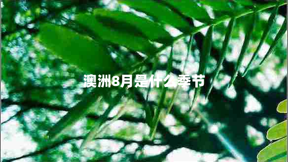 澳洲8月是什么季節