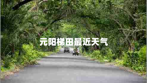 元陽(yáng)梯田最近天氣
