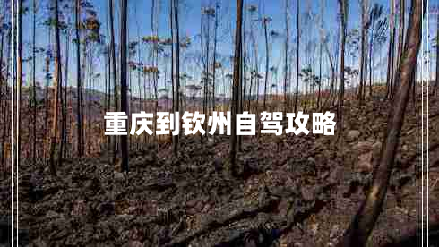 重慶到欽州自駕攻略