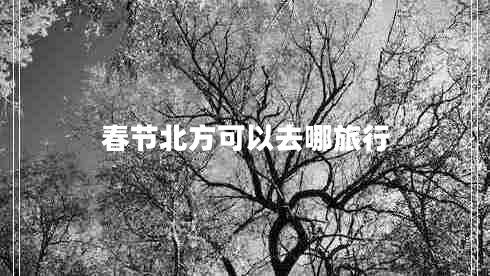 春節北方可以去哪旅行
