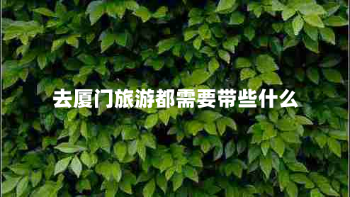 去廈門(mén)旅游都需要帶些什么