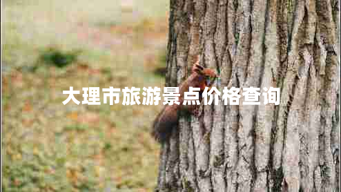 大理市旅游景點(diǎn)價(jià)格查詢(xún)