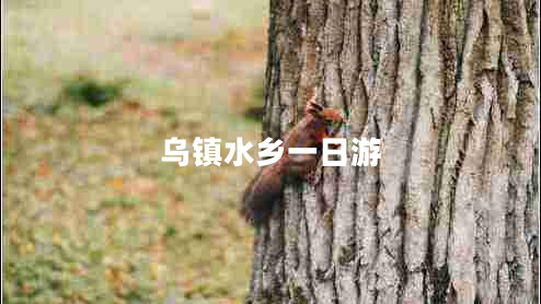 烏鎮水鄉一日游