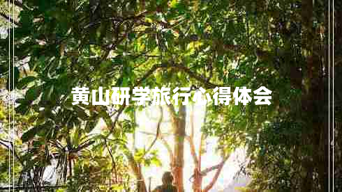 黃山研學(xué)旅行心得體會(huì )