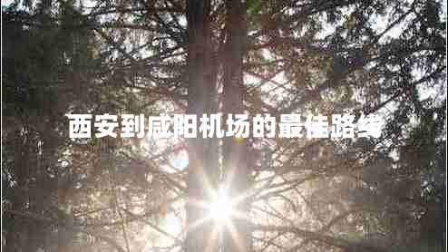 西安到咸陽(yáng)機場(chǎng)的最佳路線(xiàn)